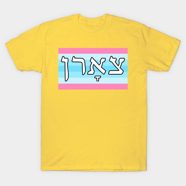 Tsorn - Wrath (Transmasculine Pride Flag) T-Shirt by dikleyt